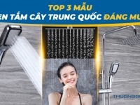 Top 3 mẫu sen tắm cây Trung Quốc đáng mua bạn nhất định phải biết