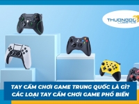 Tay cầm chơi game Trung Quốc là gì? Các loại tay cầm chơi game phổ biến