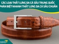 Các loại thắt lưng da cá sấu Trung Quốc - Phân biệt nhanh thắt lưng da cá sấu chuẩn