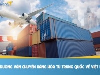 THỊ TRƯỜNG VẬN CHUYỂN HÀNG HÓA TỪ TRUNG QUỐC VỀ VIỆT NAM CUỐI NĂM