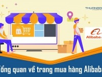 Alibaba là gì? "Bách Khoa Toàn Thư" về trang mua hàng Alibaba