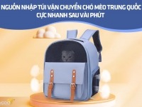 Nguồn nhập túi vận chuyển chó mèo Trung Quốc cực nhanh sau vài phút