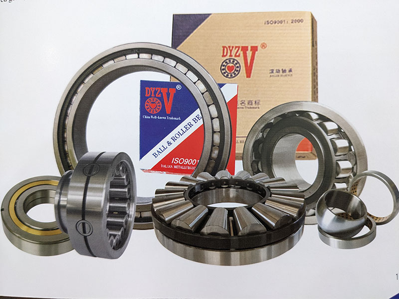 Thương hiệu vòng bi DYZV