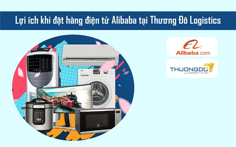 Lợi ích khi đặt hàng điện tử Alibaba tại Thương Đô Logistics