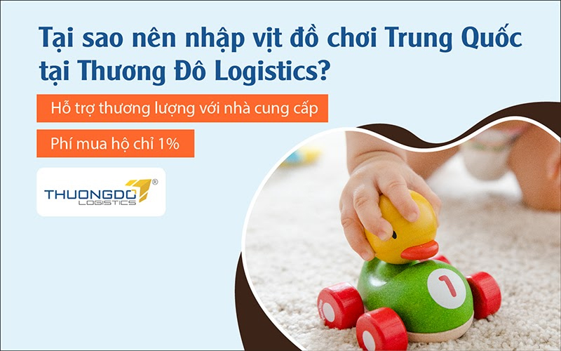 Lý do nên nhập vịt đồ chơi Trung Quốc tại Thương Đô