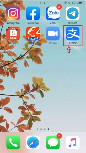  Biểu tượng Alipay trên màn hình IOS