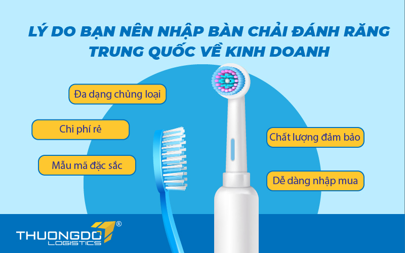  Lý do bạn nên nhập bàn chải đánh răng Trung Quốc về kinh doanh