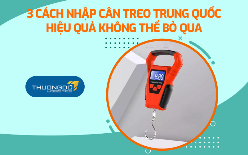  3 cách nhập cân treo Trung Quốc hiệu quả không thể bỏ qua