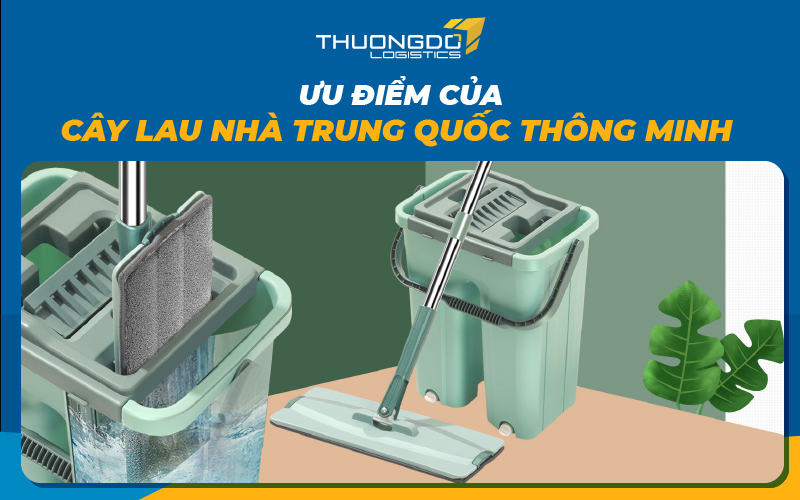  Ưu điểm của cây lau nhà Trung Quốc thông minh