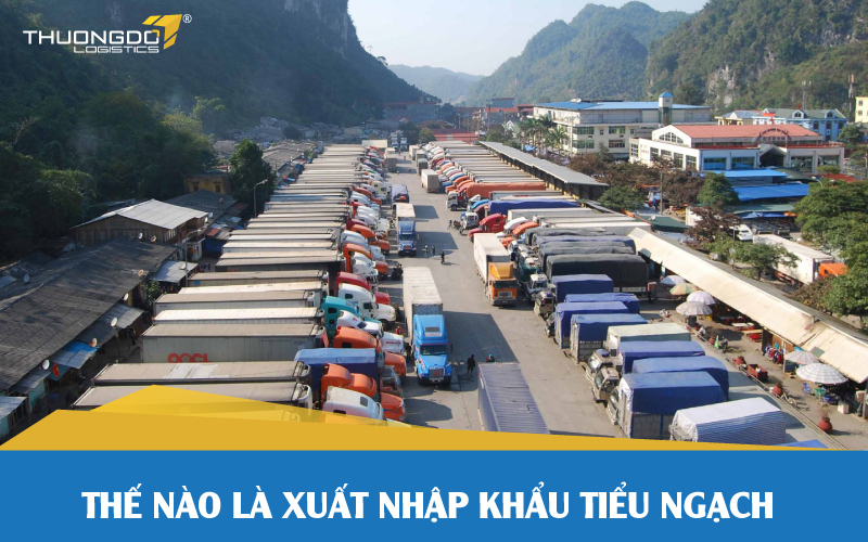  Thế nào là xuất nhập khẩu tiểu ngạch?