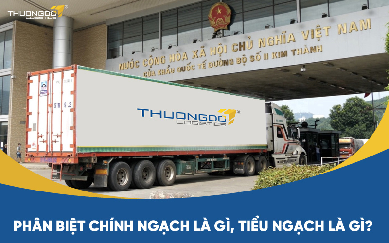  Phân biệt chính ngạch là gì, tiểu ngạch là gì?