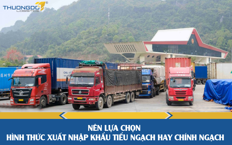  Nên lựa chọn hình thức xuất nhập khẩu tiểu ngạch hay chính ngạch