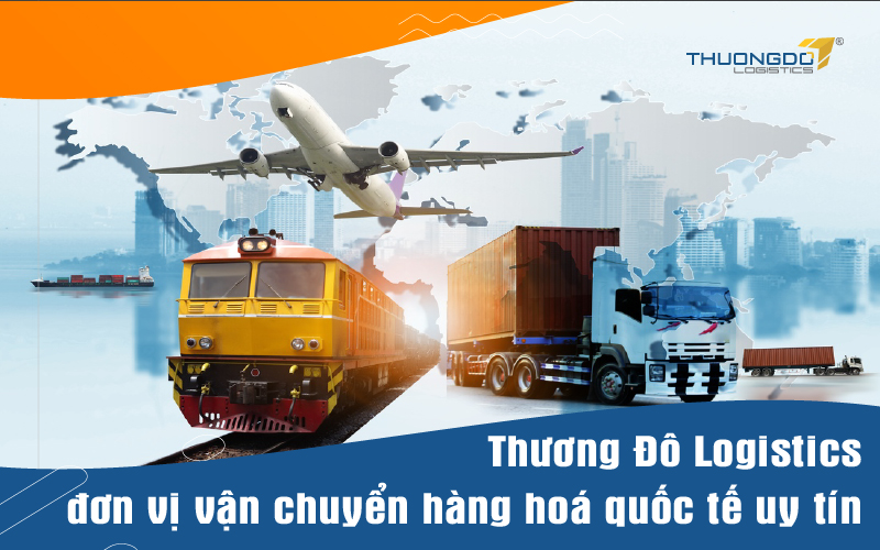  Thương Đô Logistics - đơn vị vận chuyển hàng hoá quốc tế uy tín