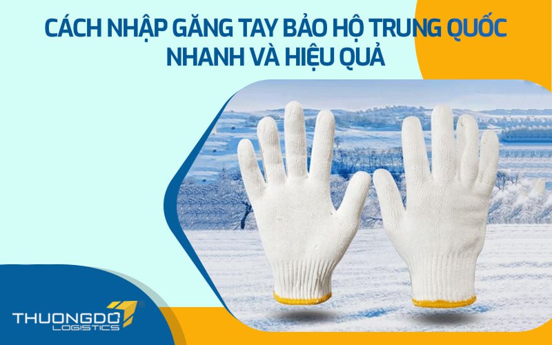 Cách nhập găng tay bảo hộ Trung Quốc nhanh và hiệu quả