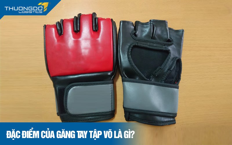  Đặc điểm của găng tay tập võ là gì?