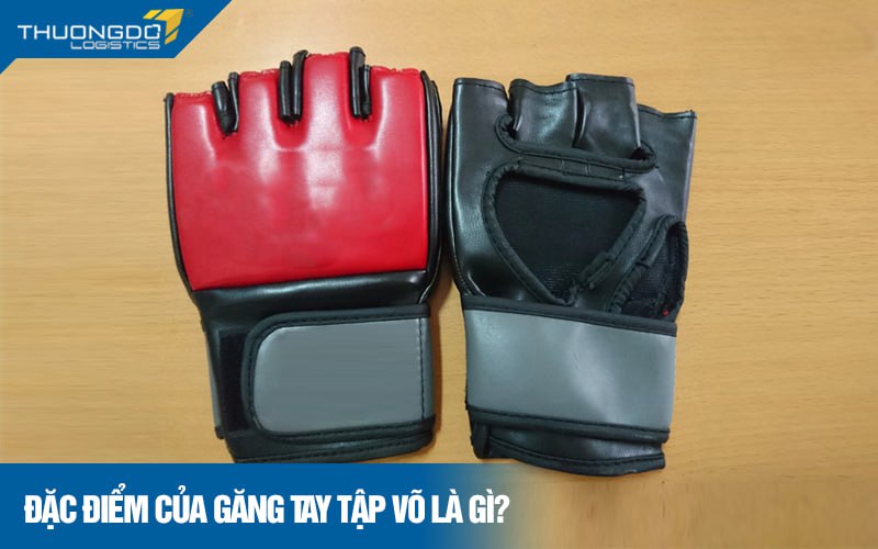  Đặc điểm của găng tay tập võ là gì?