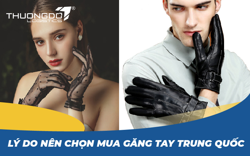  Lý do nên chọn mua găng tay Trung Quốc