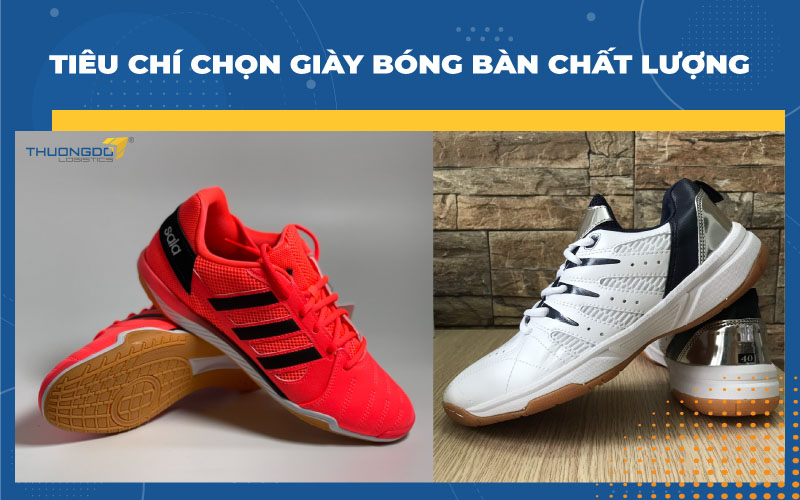  Tiêu chí chọn giày bóng bàn chất lượng