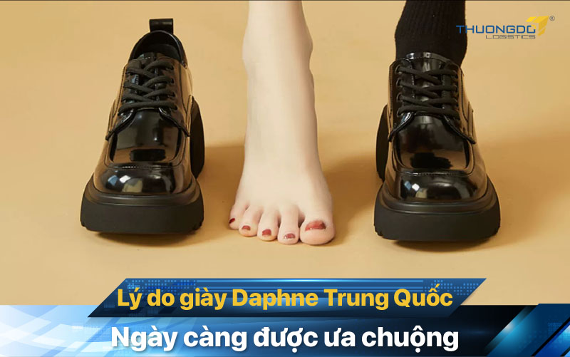  Lý do giày Daphne Trung Quốc ngày càng được ưa chuộng