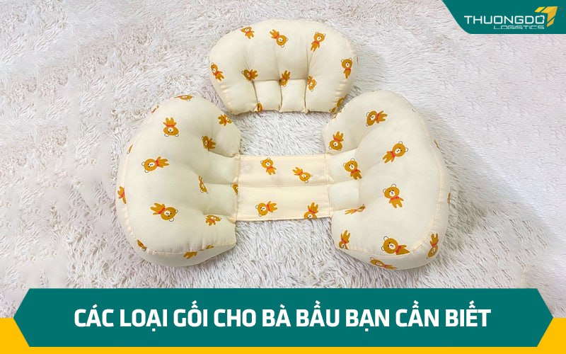 Các loại gối cho bà bầu bạn cần biết