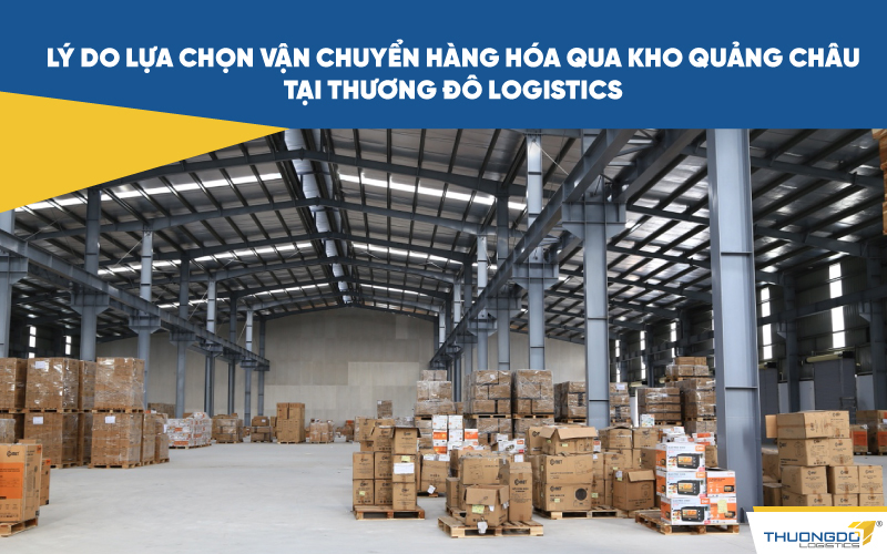  Lý do lựa chọn vận chuyển hàng hóa qua kho Quảng Châu tại Thương Đô Logistics