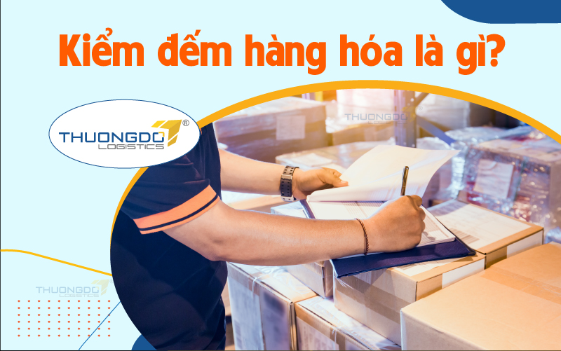 Kiểm đếm hàng hóa là gì? – Thương Đô Logistics