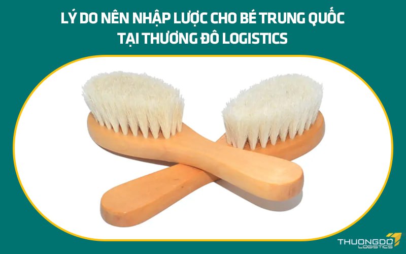 Lý do nên nhập lược cho bé Trung Quốc tại Thương Đô Logistics