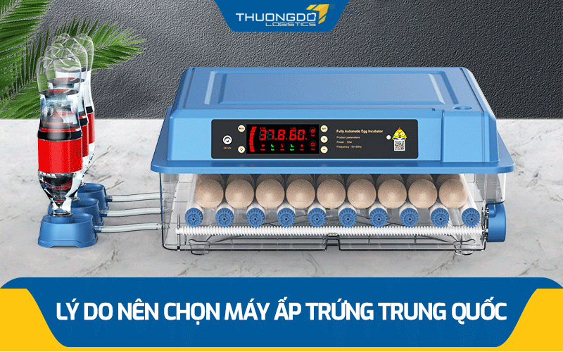  Lý do nên chọn máy ấp trứng Trung Quốc