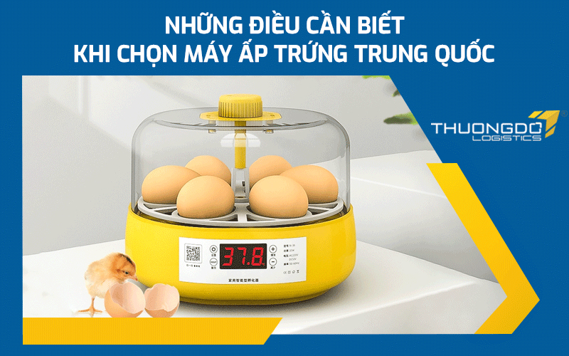  Những điều bạn cần biết khi chọn máy ấp trứng Trung Quốc