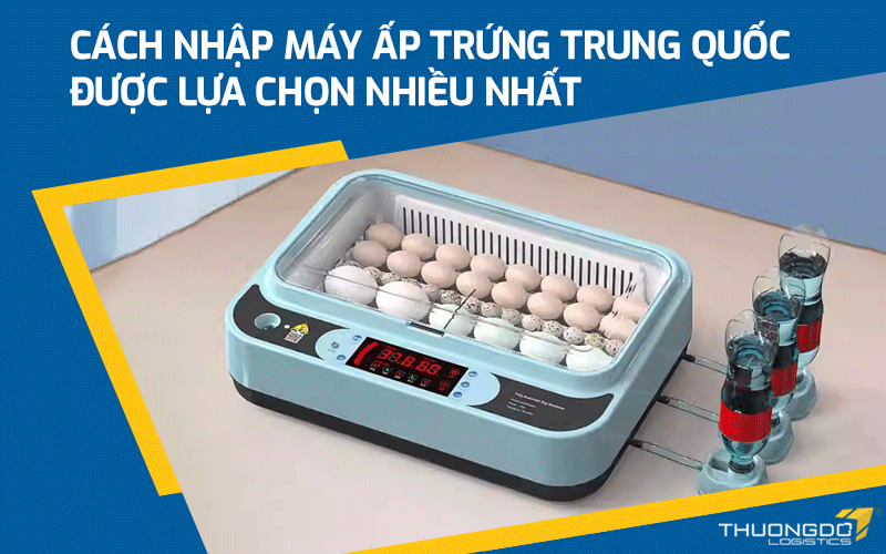  Cách nhập máy ấp trứng Trung Quốc được lựa chọn nhiều nhất