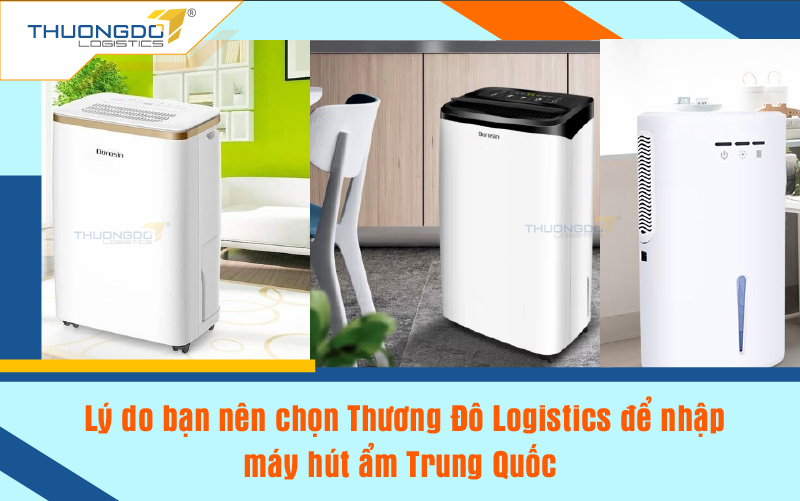  Lý do bạn nên chọn Thương Đô Logistics để nhập máy hút ẩm Trung Quốc