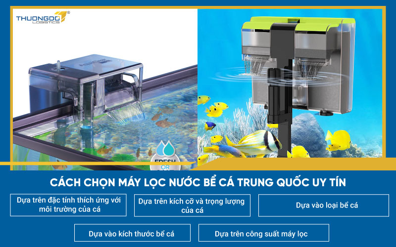  Cách chọn máy lọc nước bể cá Trung Quốc uy tín
