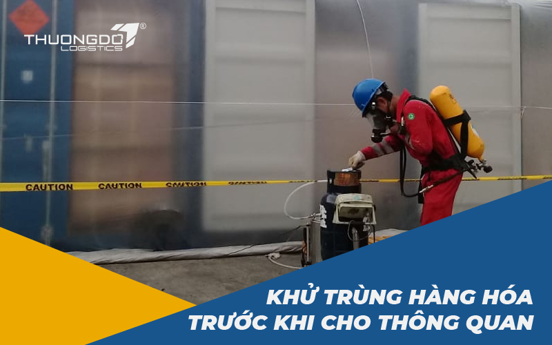  Khử trùng hàng hóa trước khi thông quan