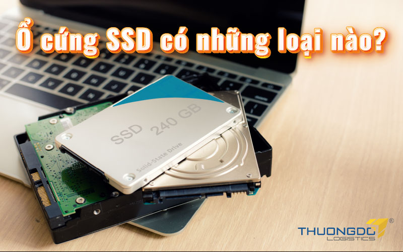  Ổ cứng SSD có những loại nào?