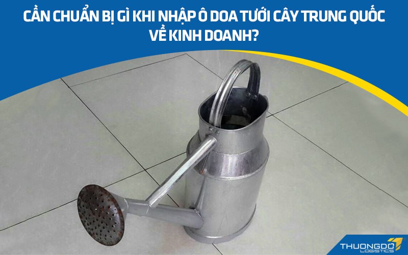 Cần chuẩn bị gì khi nhập ô doa tưới cây Trung Quốc về kinh doanh?