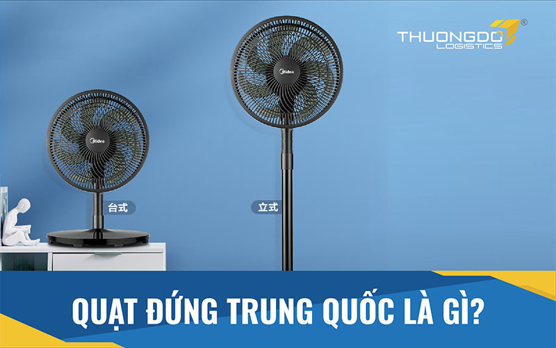  Quạt đứng Trung Quốc là gì?