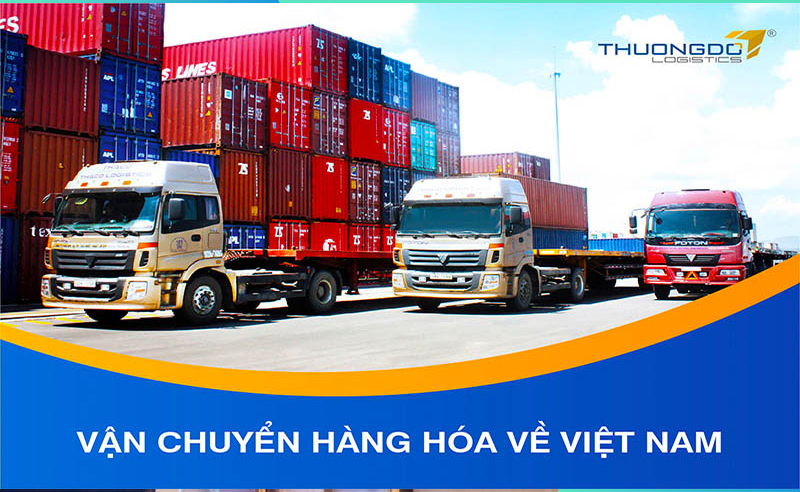  Vận chuyển hàng hóa về kho Việt Nam của Thương Đô