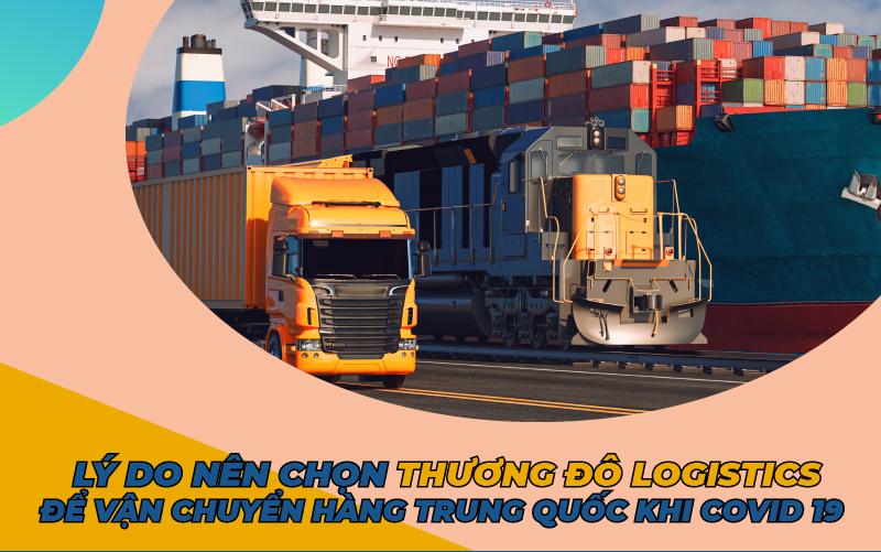  Lý do nên chọn Thương Đô Logistics để vận chuyển hàng Trung Quốc khi Covid 19
