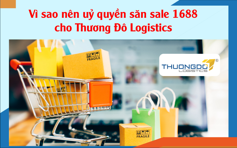  Lý do cần uỷ quyền săn sale 1688 cho Thương Đô Logistics