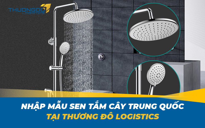  Nhập mẫu sen tắm cây Trung Quốc tại Thương Đô Logistics