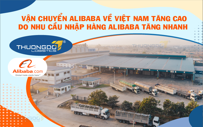  Vận chuyển Alibaba về Việt Nam tăng cao do nhu cầu nhập hàng Alibaba tăng nhanh.