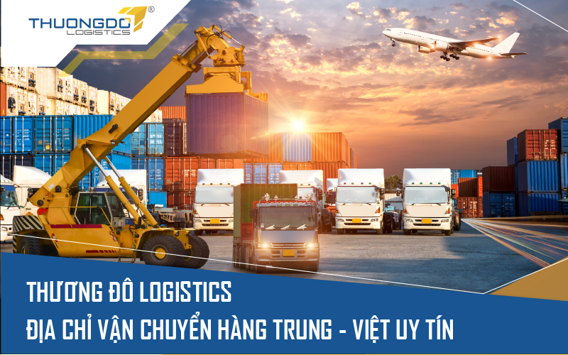Thương Đô Logistics - đơn vị ship hàng Trung Quốc giá rẻ cực nhanh