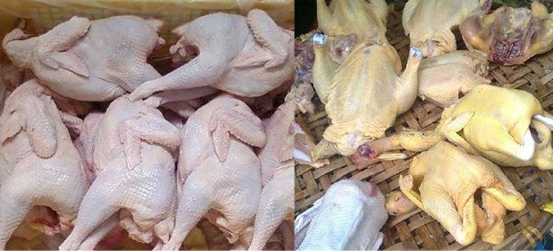  Thịt gà sống nhập từ Trung Quốc
