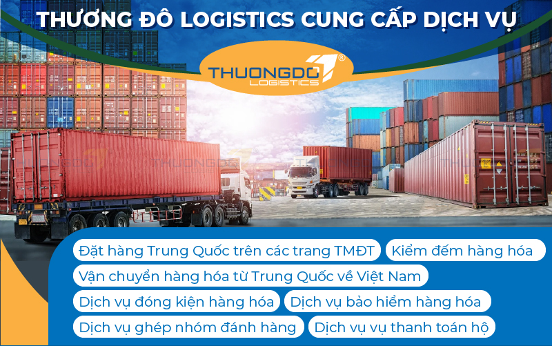  Thương Đô Logistics cung cấp nhiều dịch vụ