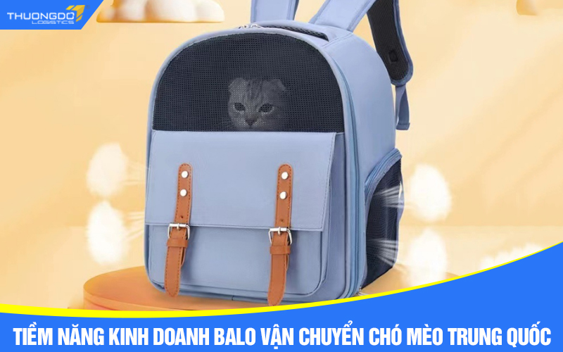 Tiềm năng kinh doanh balo vận chuyển chó mèo Trung Quốc