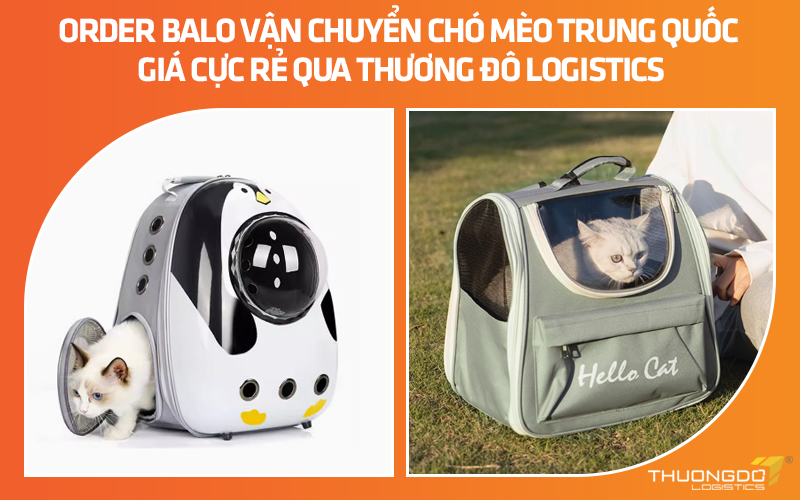 Order balo vận chuyển chó mèo Trung Quốc giá cực rẻ qua Thương Đô Logistics