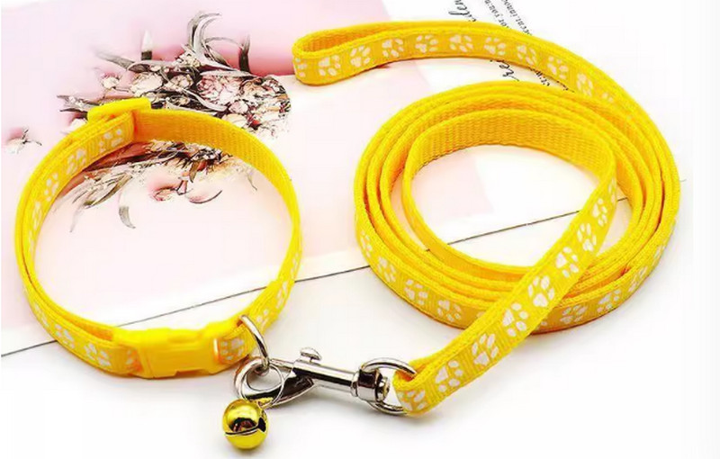 Bật mí 4 loại dây dắt chó mèo Trung Quốc giúp thu lợi nhuận khủng