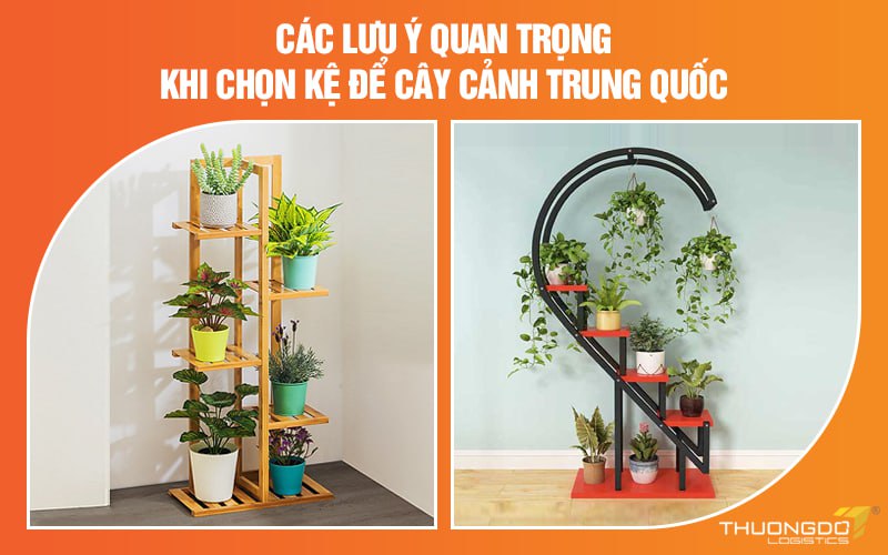  Các lưu ý quan trọng khi chọn kệ để cây cảnh Trung Quốc