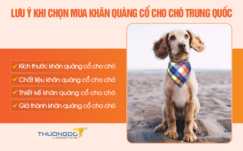 Lưu ý cần biết khi chọn mua khăn quàng cổ cho chó nội địa Trung
