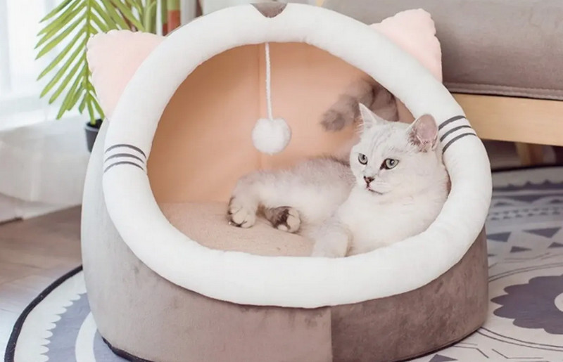 Vật dụng ngủ